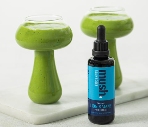 Liquid Extracts for the Mind & Body - Mush