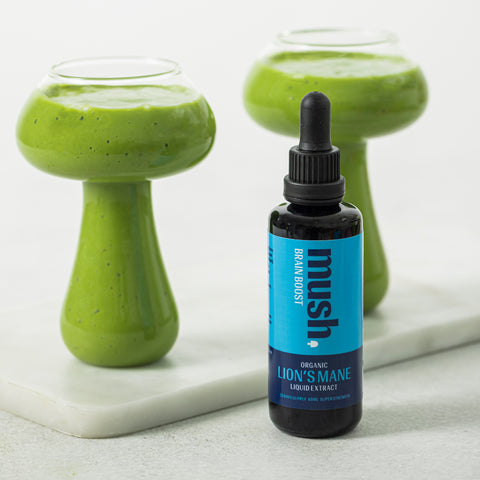 Mush Brain Boost-Mush