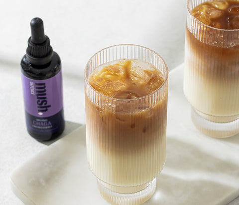 Liquid Extracts for the Mind & Body - Mush