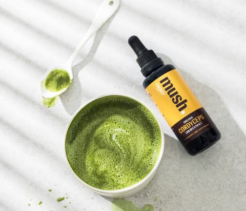 Liquid Extracts for the Mind & Body - Mush